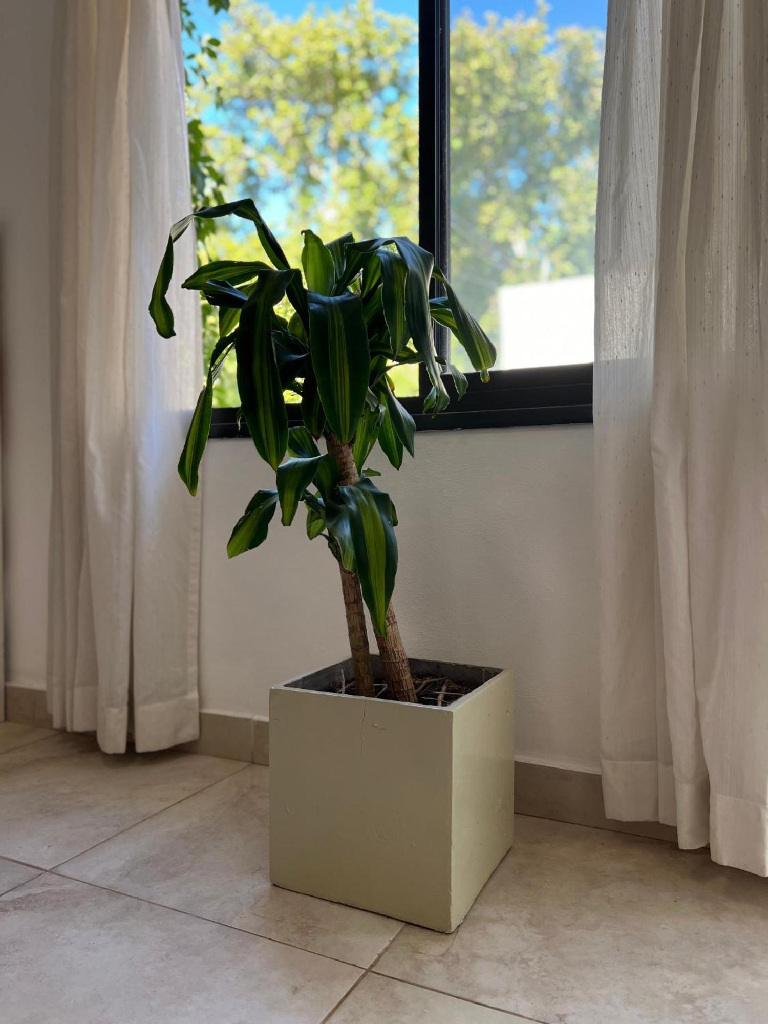 2 Ambientes, Zona Centrica, Cochera Apartment Mendoza